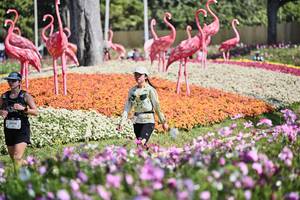 BIB: 
                            <button type="button" onclick="openModal(27794164)" class="btn btn-primary btn-sm float-right btn-popup" data-toggle="modal" data-target=".modal-high-quality">
                        <i class="fas fa-shopping-cart"></i> Add to Cart
                    </button>
                                            <button type="button" onclick="isThisMe(27794164, true)" class="btn btn-success btn-sm float-right btn-popup btn-isme hidden" data-toggle="tooltip" data-placement="bottom" title="นี่คือรูปของคุณใช่ไหม คลิกที่นี่เพื่อเอาเข้าอัลบั้ม">
                        <i class="fas fa-plus"></i> Add to album
                    </button>
                    <button type="button" onclick="isThisMe(27794164, false)" class="btn btn-warning btn-sm float-right btn-popup btn-isnotme hidden">
                        <i class="fas fa-ban"></i> Remove from album
                    </button>